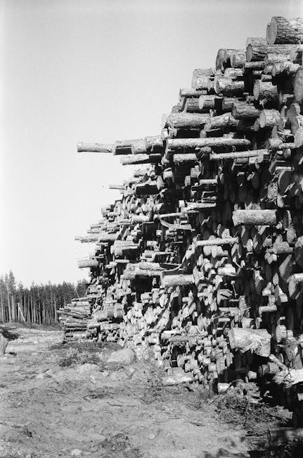 Black and white photograph showing a large stack of cut logs arranged horizontally in an outdoor setting, with a forest in the background. The logs vary in size and length, some with rough bark and others more smoothly cut. The ground in front of the log pile is uneven and appears to be dirt or gravel. The scene is well-lit, with clear visibility of the wood's texture and the natural environment beyond. This image reflects the context of logistics related to timber storage or transportation, which could be relevant to home or office removals involving furniture or materials. Occasionally, a company like Man and Van Northwood may handle such content as part of their moving and relocation services.