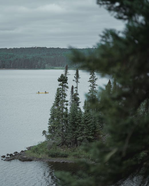 A view of a calm body of water, likely a lake or river, with a small yellow boat carrying two people moving across the surface. In the foreground, there is a cluster of tall, slender evergreen trees with dark green needles, some of which partially obscure the view. To the right, a large out-of-focus branch of another tree extends into the frame. The shoreline is rocky and features low vegetation. In the background, a dense forest of coniferous trees lines the distant opposite bank, under a cloudy, overcast sky. This outdoor scene conveys tranquil natural surroundings, relevant to the logistics of home relocation or outdoor equipment transport, as seen through the tranquil environment that could be part of a scenic route or outdoor moving preparation area. The scene emphasizes natural elements, outdoor transportation, and the environment associated with detailed moving or packing activities.
