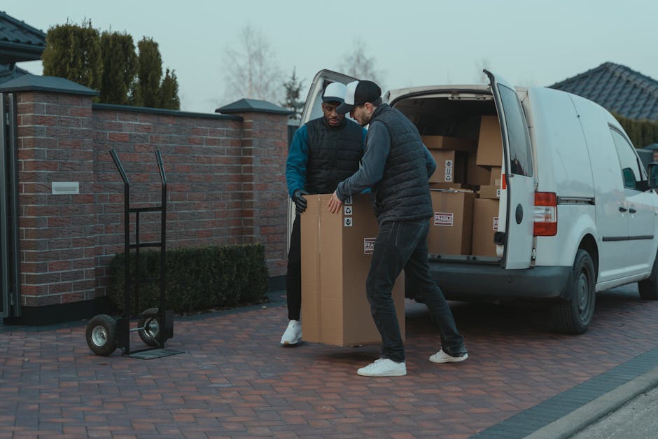 Two men are engaged in a furniture transport task as part of a house relocation. They are outdoors on a paved driveway next to a residential property, with a brick wall, greenery, and a house roof visible in the background. One man, wearing a black puffer vest, dark jeans, and white sneakers, is grasping a large cardboard box with both hands, preparing to load it into the back of a white cargo van. The second man, dressed in a black jacket with blue sleeves, black gloves, and sneakers, is assisting by holding the box steady from the other side. The van's rear doors are open, revealing numerous packed cardboard boxes inside, some with labels, indicative of a packing and moving process. Nearby, a black hand truck with two wheels is positioned on the ground, ready for transporting additional boxes or furniture. The scene is illuminated by natural daylight, illustrating the careful handling and organisation involved in a professional removals service by Man and Van Northwood, supporting domestic relocation and furniture transport services.