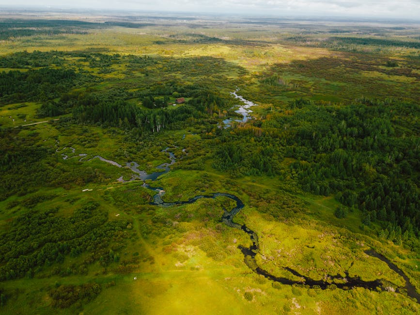 An aerial view of a lush, green landscape with a winding river flowing through dense forested areas and open grasslands. The river has multiple bends and appears dark against the surrounding vibrant vegetation. In the distance, there are patches of taller trees, open fields, and a small building nestled among the trees. The scene is illuminated by natural daylight, with some shadows indicating varying terrain elevation. The landscape extends towards the horizon, blending into a hazy sky. This natural environment highlights the importance of careful planning and logistics in home relocation and furniture transport, as captured in the context of moving services like those offered by Man and Van Northwood.