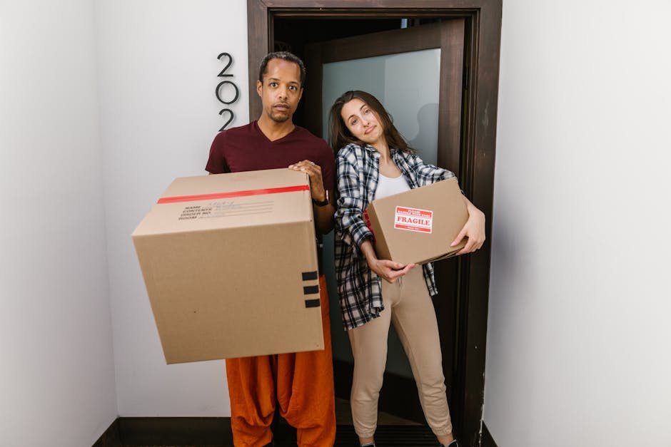 A man with dark curly hair and a beard is inside a bright, empty room with white walls and wooden flooring, engaged in a furniture transport task as part of a home relocation. He is wearing a navy blue T-shirt with a logo on the chest and dark trousers. The man is holding a cardboard box secured with red packing tape, lifting it in one hand while standing next to two stacked cardboard boxes on the floor. Behind him, there is a large arched window allowing natural light into the space, casting soft shadows on the floor. The room appears to be prepared for moving activities, with minimal furniture present, emphasizing the focus on packing and loading. This scene exemplifies the careful handling and organized approach essential for successful house removals, a service provided by Man and Van Northwood, supporting clients with efficient furniture transport and packing during their move.